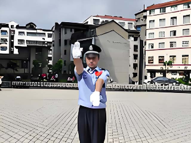 车辆/停车场管理